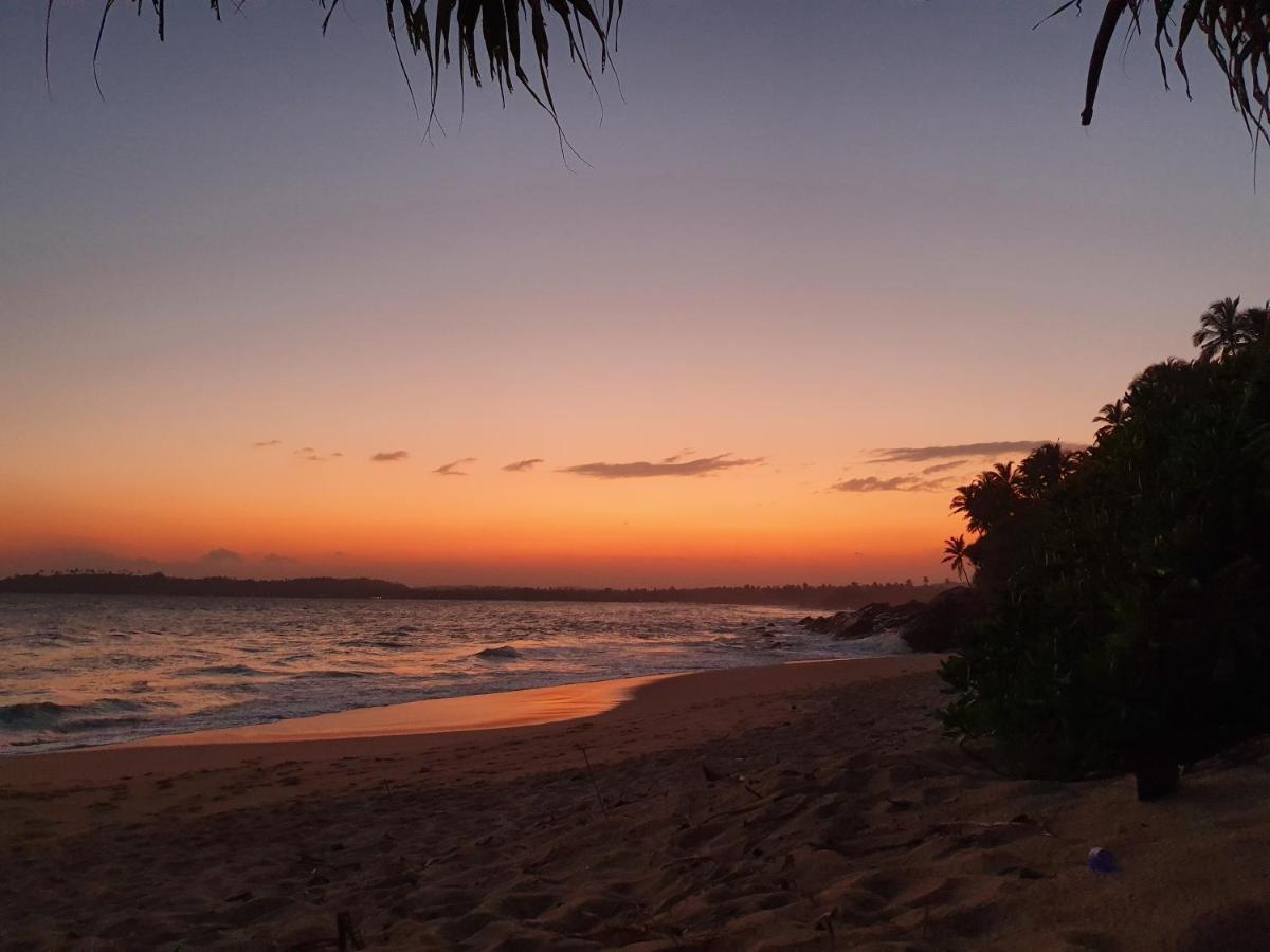 Into The Blue - Yoga Included & Walk To 3 Beaches Tangalle Eksteriør bilde