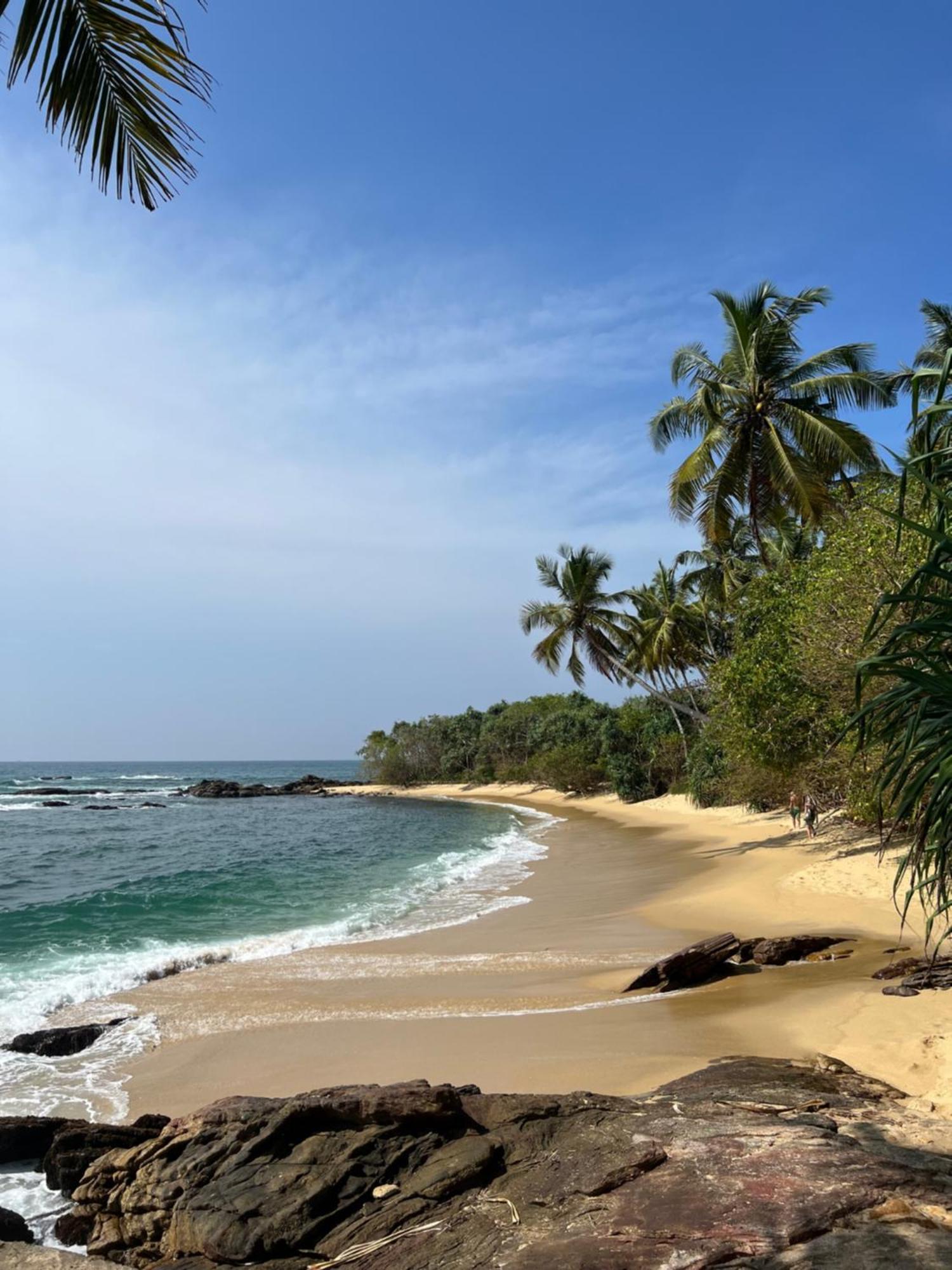 Into The Blue - Yoga Included & Walk To 3 Beaches Tangalle Eksteriør bilde