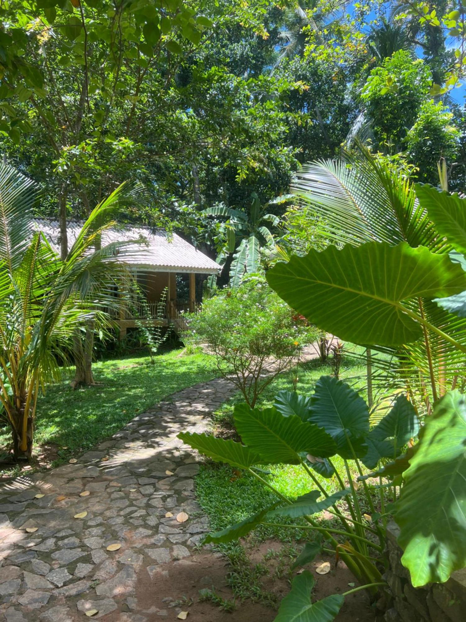 Into The Blue - Yoga Included & Walk To 3 Beaches Tangalle Eksteriør bilde