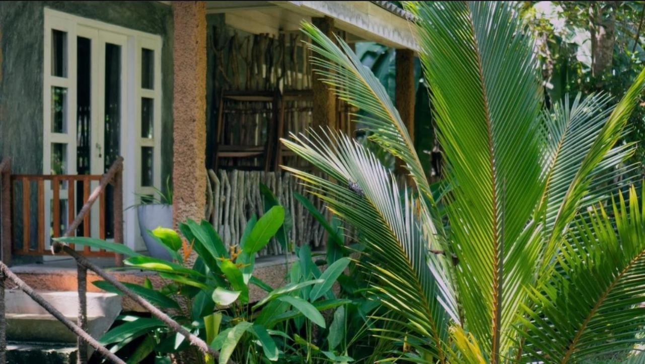 Into The Blue - Yoga Included & Walk To 3 Beaches Tangalle Eksteriør bilde
