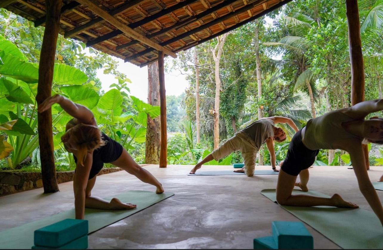 Into The Blue - Yoga Included & Walk To 3 Beaches Tangalle Eksteriør bilde