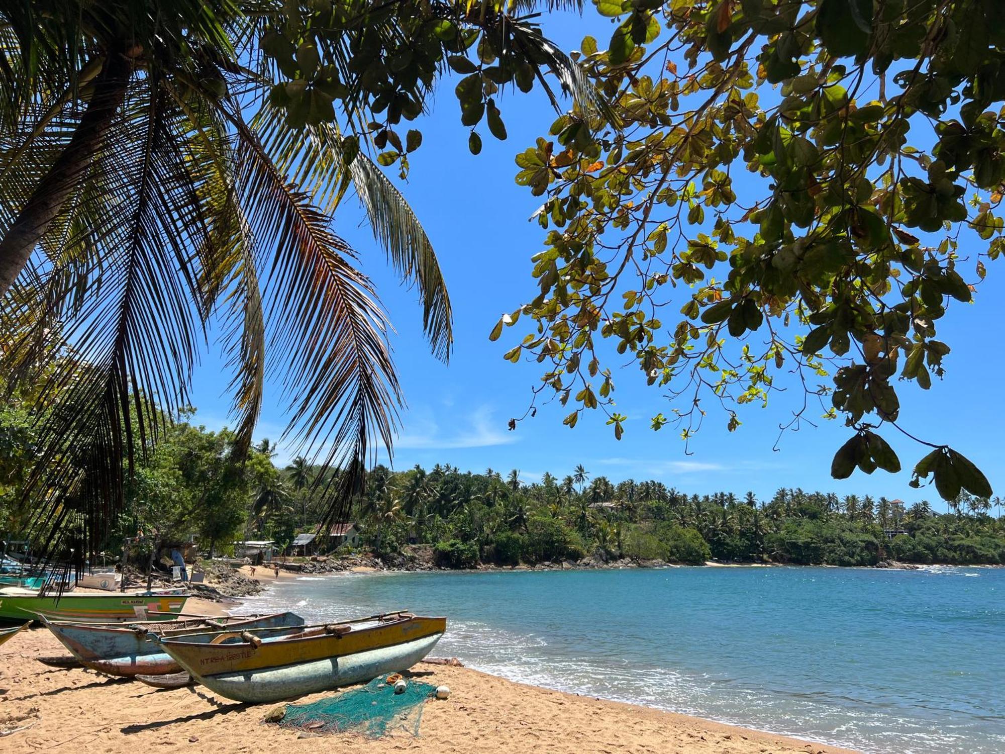 Into The Blue - Yoga Included & Walk To 3 Beaches Tangalle Eksteriør bilde